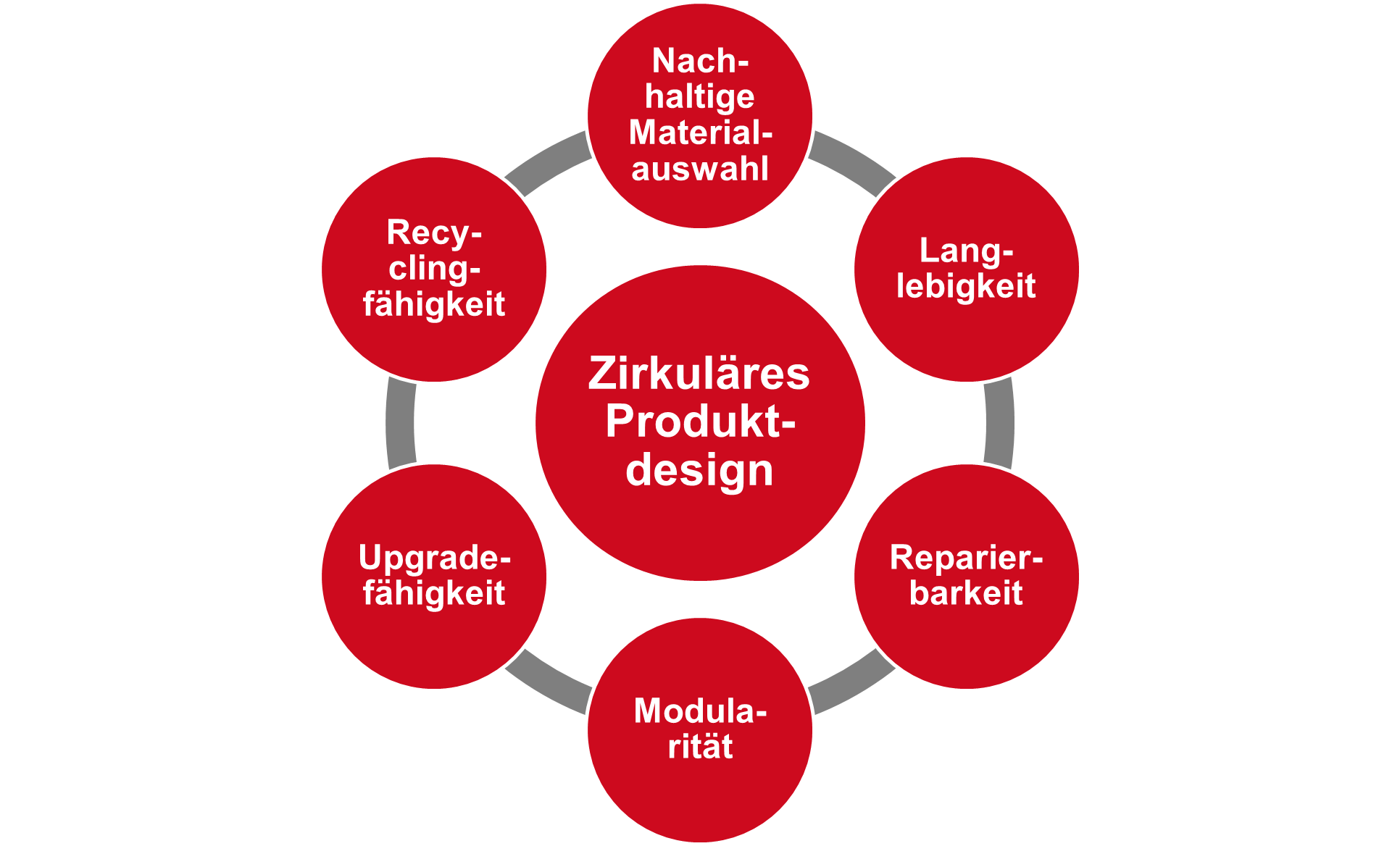 Kreislauf statt Abfall: Die Prinzipien des zirkulären Produktdesigns erklärt